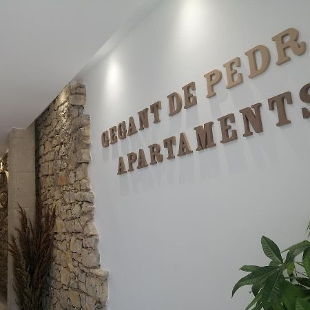 Gegant De Pedra Apartaments Adzaneta Экстерьер фото