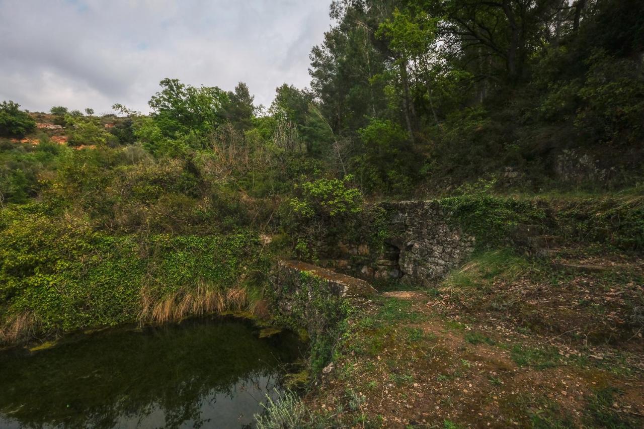 Gegant De Pedra Apartaments Adzaneta Экстерьер фото